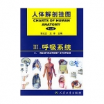 《人体解剖挂图》-呼吸系统