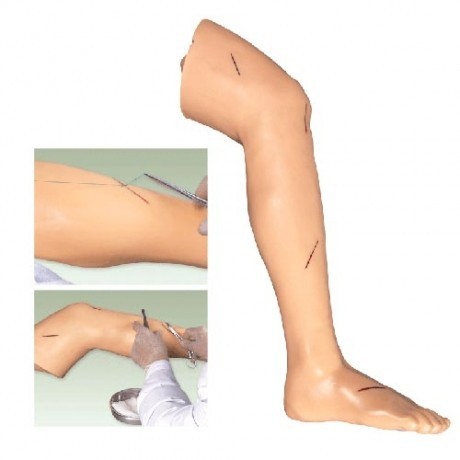 高级外科缝合腿肢模型