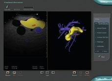 医学教学模型 医学教学模型
