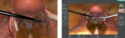 点击浏览下一页