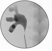 点击浏览下一页