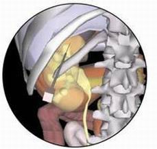 点击浏览下一页