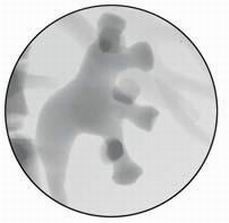 点击浏览下一页