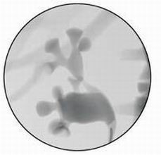 点击浏览下一页