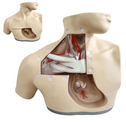 1457486326658782.png 0CN_YLJSLRZ[NZ1}W%N{3WG.png