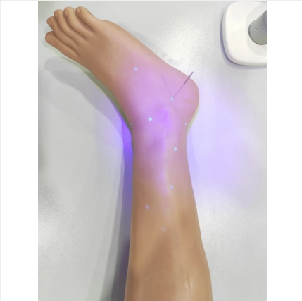 中医针灸下肢训练教学系统 