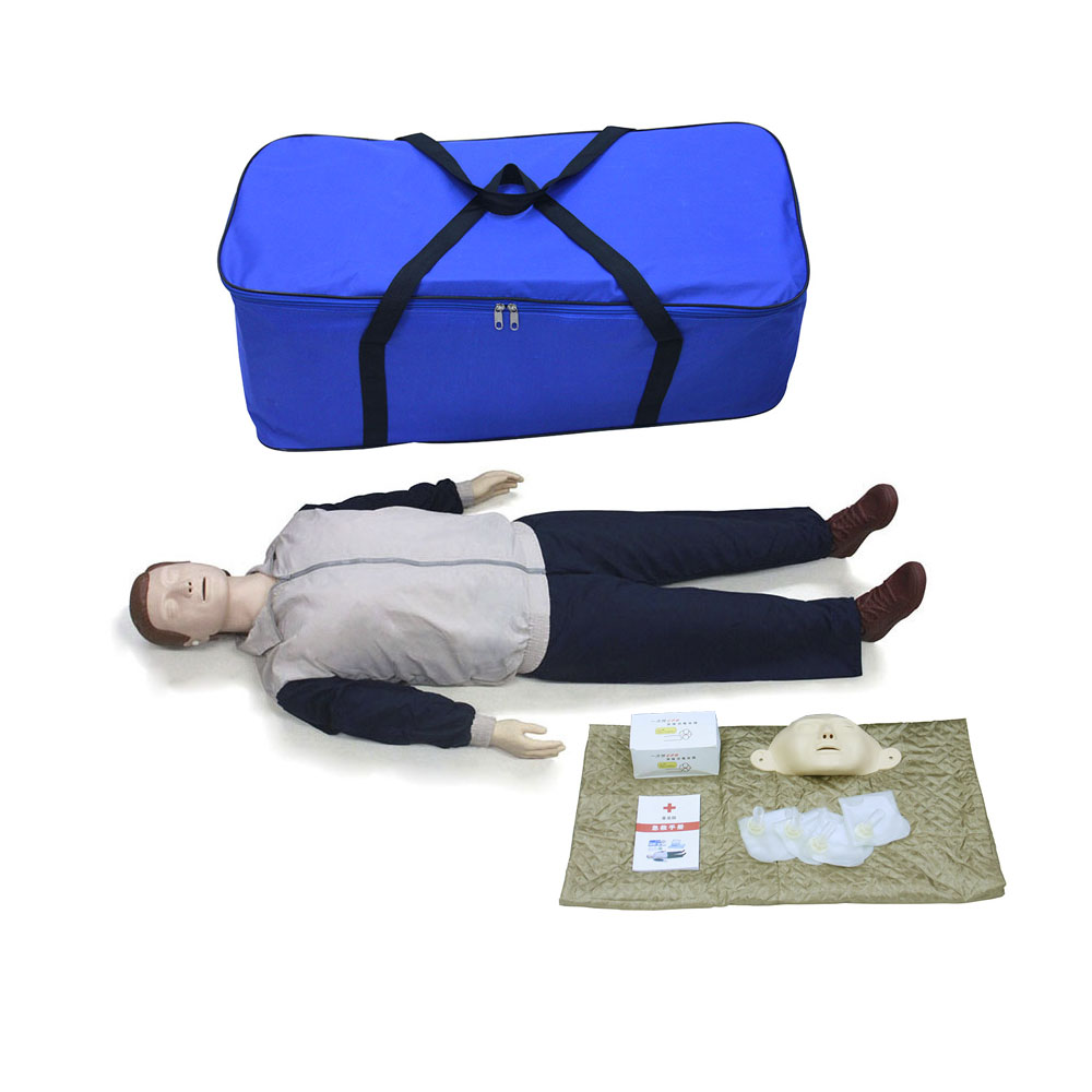 医学教学模型 医学教学模型