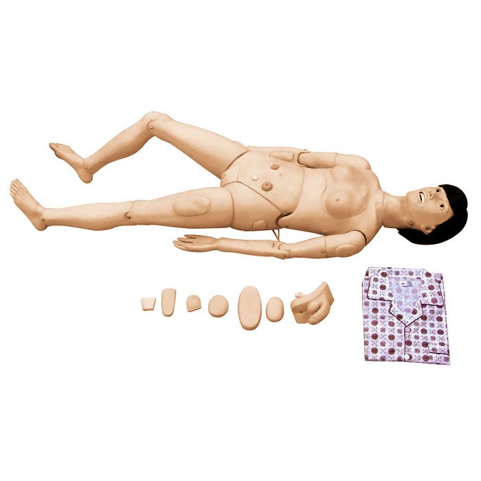 医学教学模型 医学教学模型