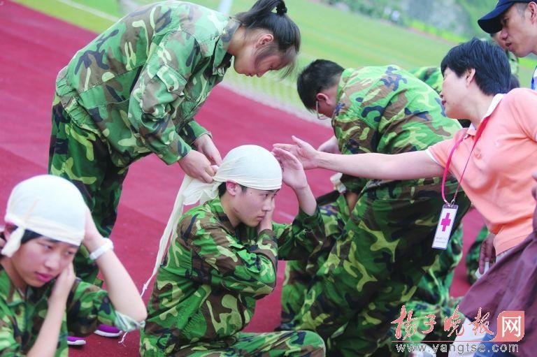 医学教学模型 医学教学模型