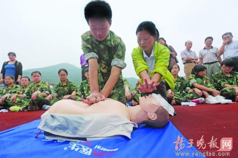 医学教学模型 医学教学模型