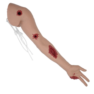多伤口止血练习手臂模型
