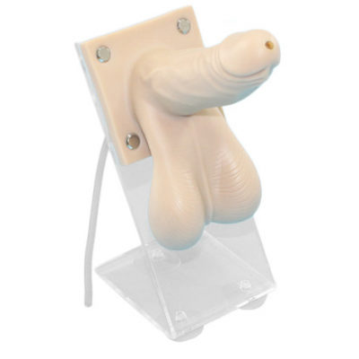 男性避孕套练习模型